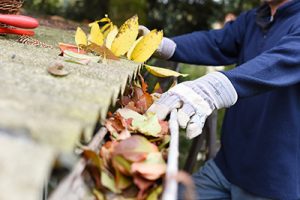 gutter cleaning freehold gutter cleaning in freehold gutter cleaning freehold nj