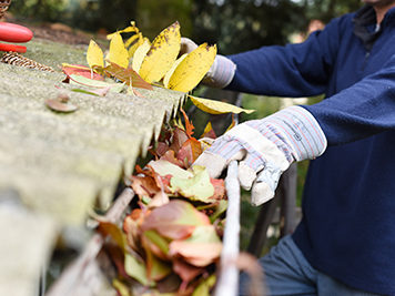 gutter cleaning freehold gutter cleaning in freehold gutter cleaning freehold nj