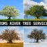 A lone tree shown through 4 seasons in 4 quadrants with a black banner reading Toms River Tree Service in white font