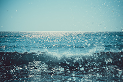 A salty view of the ocean; Sea Girt chimney service